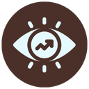 Vision (1)
